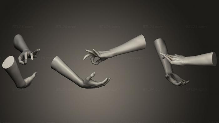 Анатомия скелеты и черепа (Женские руки 12, ANTM_0482) 3D модель для ЧПУ станка
